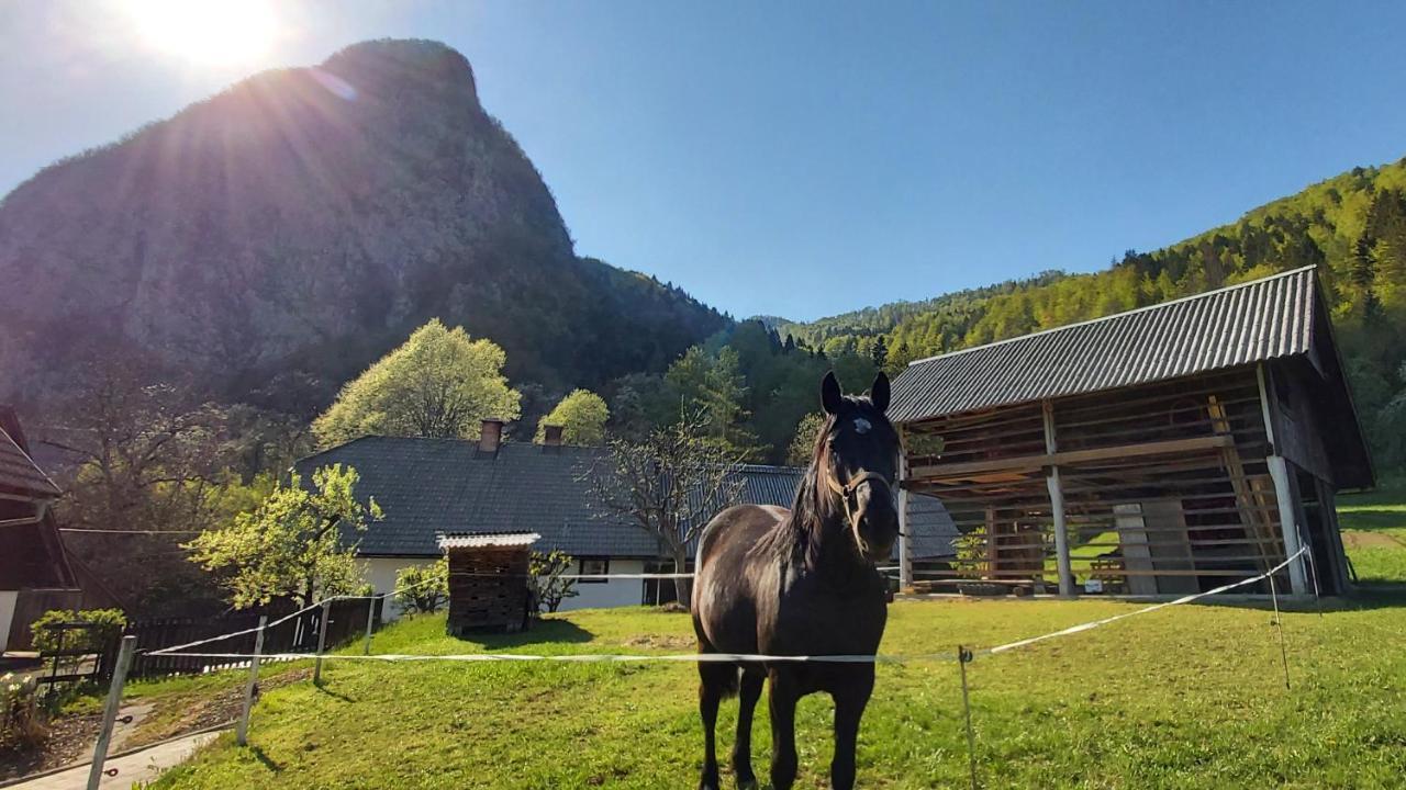 Apartmaji Pekovec Bohinj Zewnętrze zdjęcie